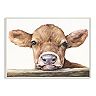 Stupell Home Decor Baby Cow Watercolor Plaque Wall Art