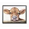 Stupell Home Decor Baby Cow Watercolor Framed Wall Art