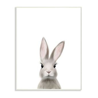 Stupell Home Decor Bunny Plaque Wall Art
