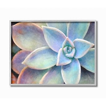 Stupell Home Decor Vibrant Succulent Painting Textured Wall Art