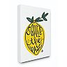 Stupell Home Decor Squeeze The Day Canvas Wall Art