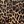 Animal Illusion