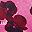 Pop Art Pansies