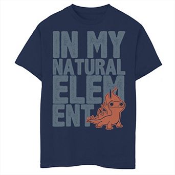 Disney's Frozen 2 Boys 8-20 Salamander In My Element Bold Text Tee