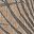 Chestnut Black