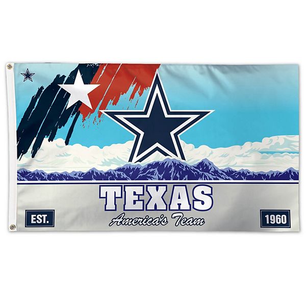 Wincraft Texas State Flag 6x12 inch Plastic License Plate 