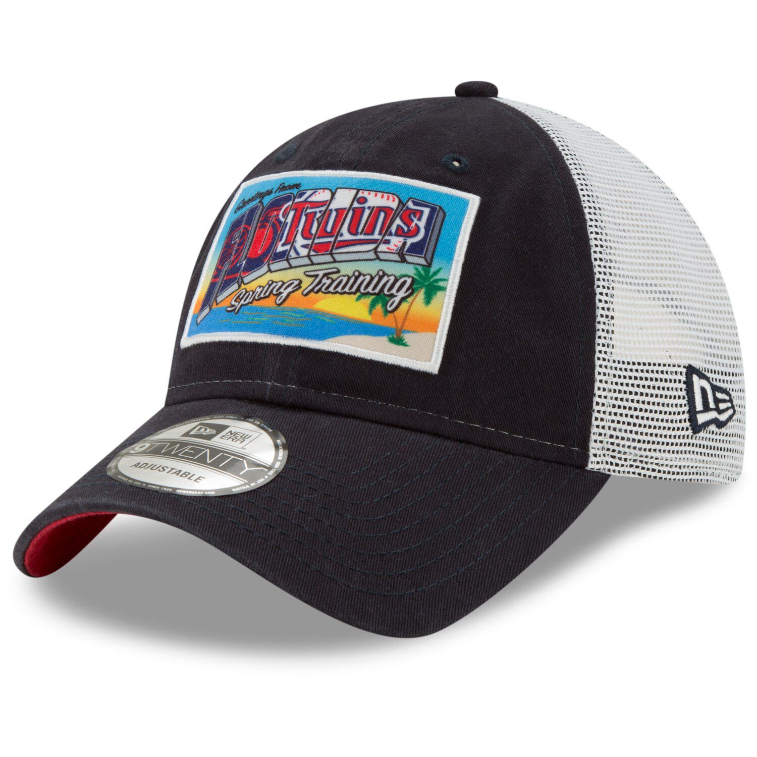 twins spring training hat