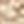 Khaki Canvas