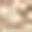Khaki Canvas