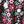 Black Ditsy Floral