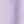 Enlighten Purple