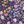 Floral Field Purple