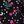 Holiday Floral Black