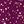 Micro Star Berry