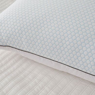 Serta 2-pack Summer/Winter Feather Pillows