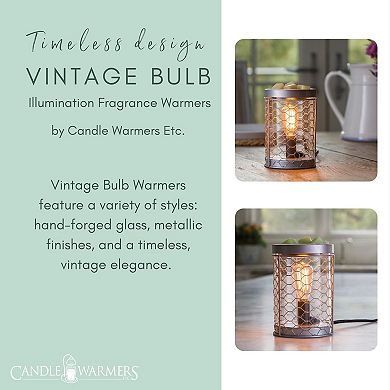 Candle Warmers Etc. Chicken Wire Vintage Bulb Illumination Wax Melt Warmer