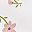 Pink Soft Floral