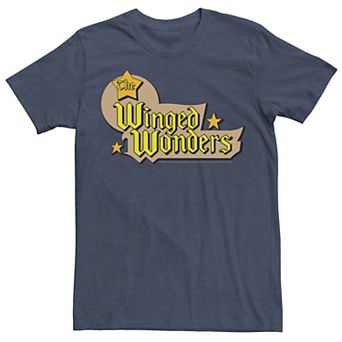 Men's DC Comics The Winged Wonders Text Logo Tee