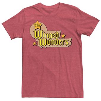 Men's DC Comics The Winged Wonders Text Logo Tee