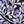 Pretty Branches