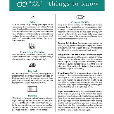 Sabrina Soto Hudson Outdoor Rug