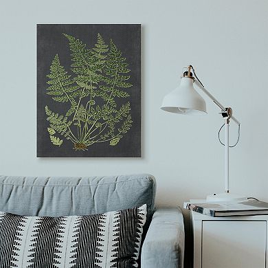 Stupell Home Decor Botanical Drawing Canvas Wall Art