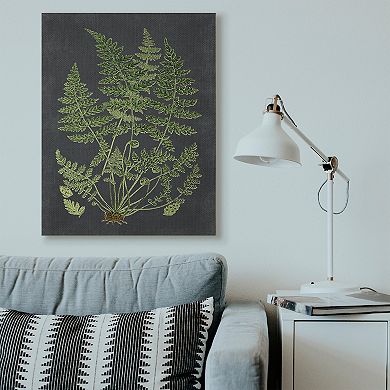 Stupell Home Decor Botanical Drawing Canvas Wall Art