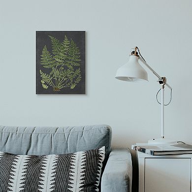 Stupell Home Decor Botanical Drawing Canvas Wall Art