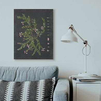 Stupell Home Decor Botanical Drawing Flower Canvas Wall Art