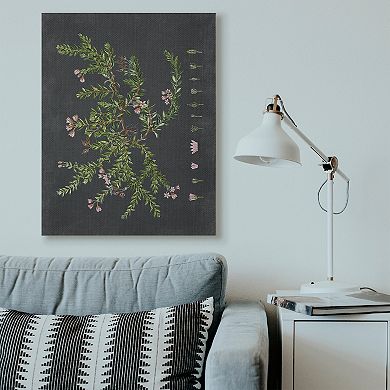 Stupell Home Decor Botanical Drawing Flower Canvas Wall Art