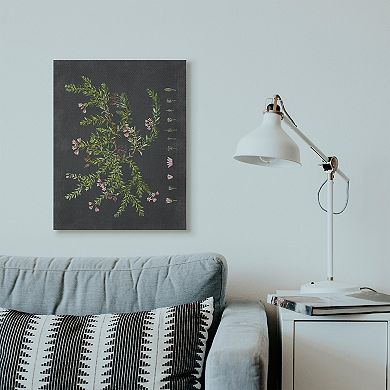 Stupell Home Decor Botanical Drawing Flower Canvas Wall Art