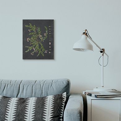 Stupell Home Decor Botanical Drawing Flower Canvas Wall Art