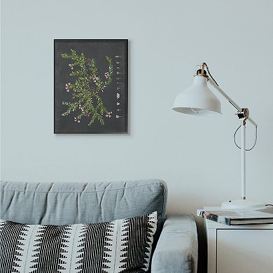 Stupell Home Decor Botanical Drawing Flower Framed Wall Art