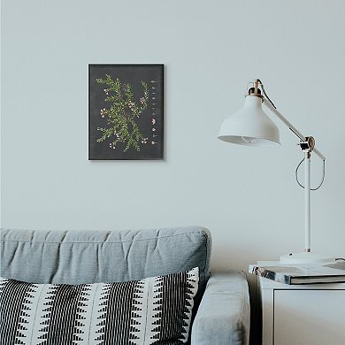 Stupell Home Decor Botanical Drawing Flower Framed Wall Art