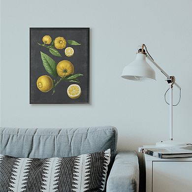 Stupell Home Decor Botanical Drawing Lemons Framed Wall Art