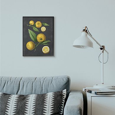 Stupell Home Decor Botanical Drawing Lemons Framed Wall Art