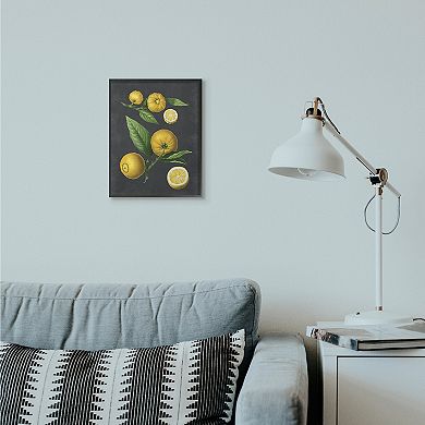 Stupell Home Decor Botanical Drawing Lemons Framed Wall Art