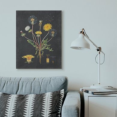 Stupell Home Decor Botanical Drawing Dandelion Canvas Wall Art