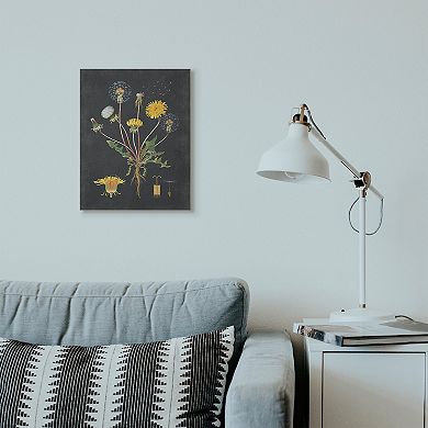 Stupell Home Decor Botanical Drawing Dandelion Canvas Wall Art