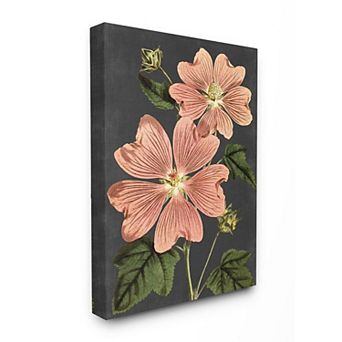 Stupell Home Decor Botanical Drawing Pink Flower Canvas Wall Art