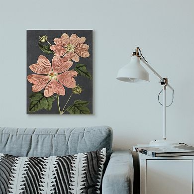 Stupell Home Decor Botanical Drawing Pink Flower Canvas Wall Art