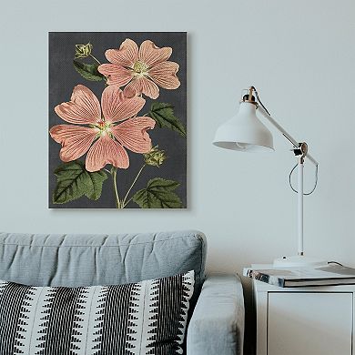 Stupell Home Decor Botanical Drawing Pink Flower Canvas Wall Art