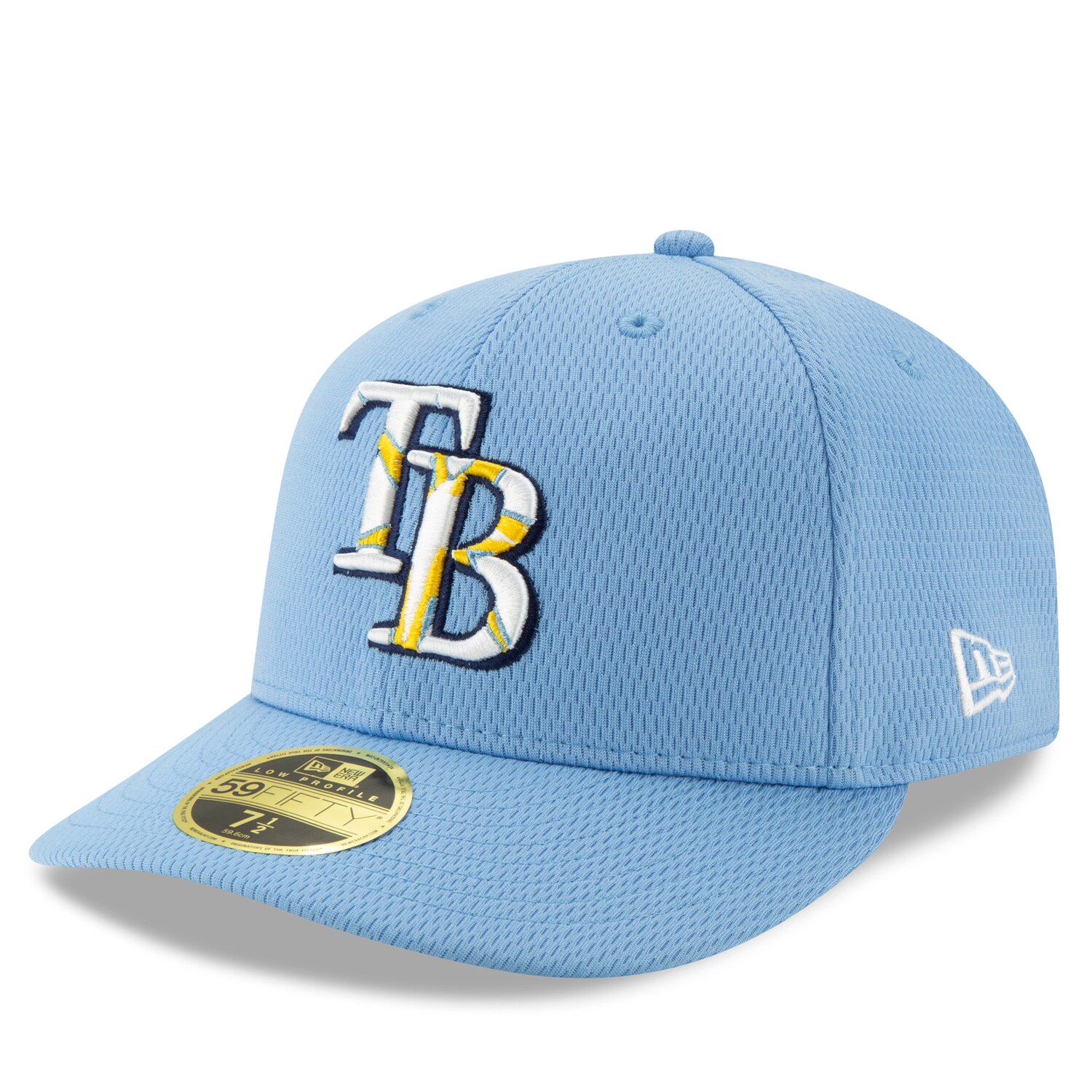 tampa bay rays flex fit hat