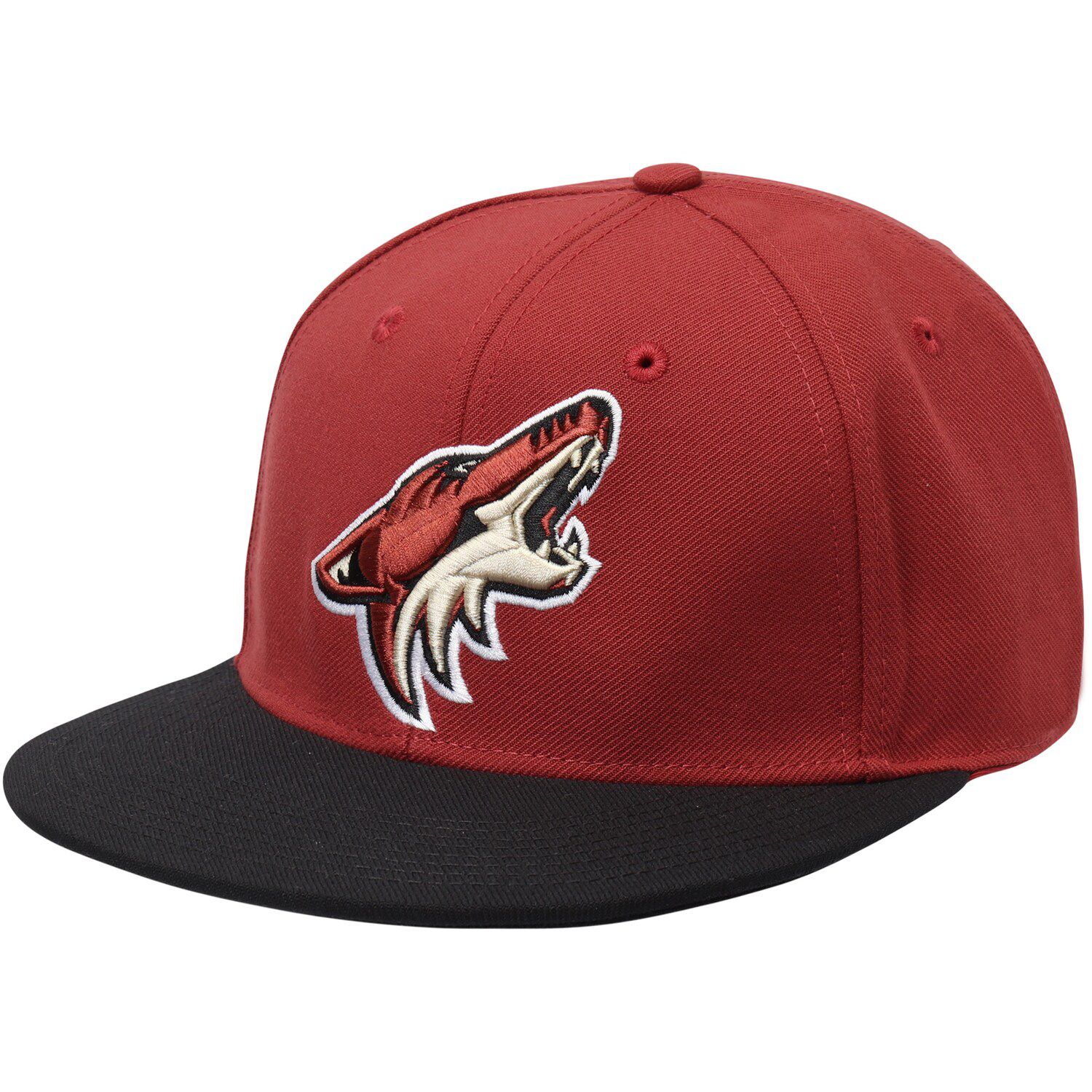 Arizona Coyotes Basic Two-Tone Fitted Hat