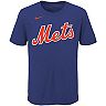 Youth Nike Pete Alonso Royal New York Mets Player Name & Number T-Shirt