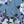 Navy Ice Blue Multi