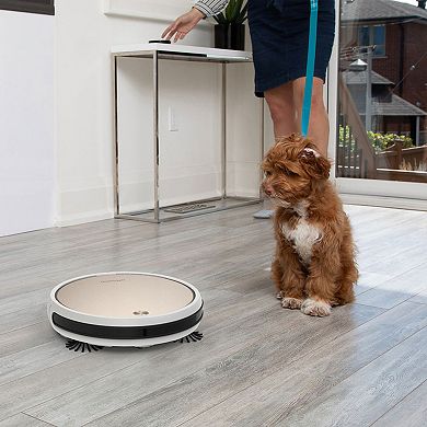 bObsweep Pro Robotic Vacuum