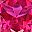 Ruby Red