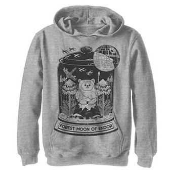 Boys 8-20 Star Wars Ewok Terrarium Graphic Hoodie