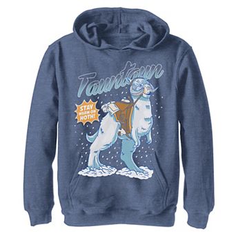 Boys 8-20 Star Wars Tauntaun Stay Warm On Hoth Comic Portrait Pullover Graphic Hoodie